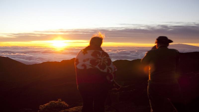 美しい渓谷の島・マウイ島へ！ | ハワイに恋して！ | 旅・グルメ番組