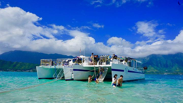 うみはなサン おまとめページ 話題のスポットへ！】天使の海ツアーカネオヘ湾サンドバーでウミガメ