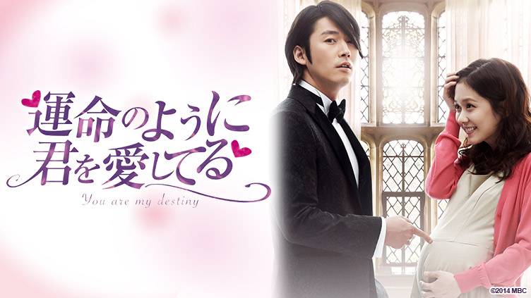 韓国ドラマ「運命のように君を愛してる」 | 韓国・韓流ドラマ | BS無料 