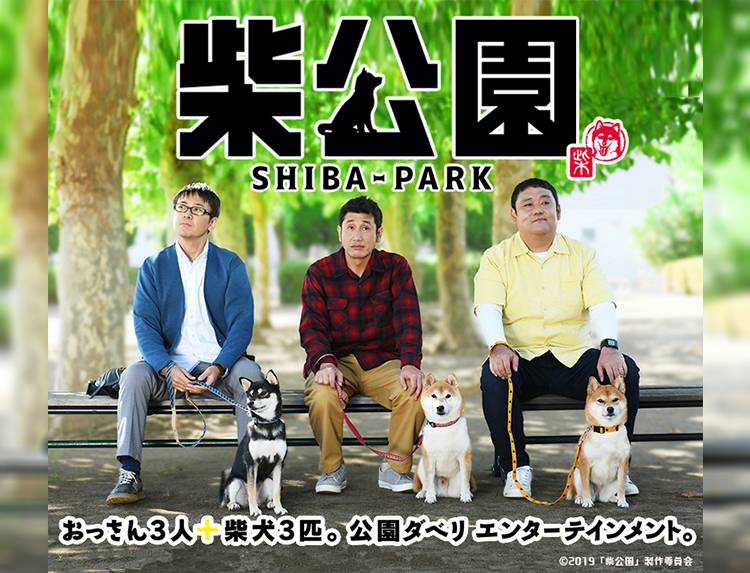 ドラマ「柴公園」 | 無料ドラマ・映画 | BS無料放送ならBS12（トゥエルビ）