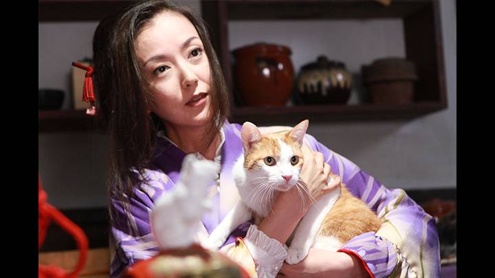 第8話 | ドラマ「猫侍」 | 無料ドラマ・映画 | BS無料放送ならBS12