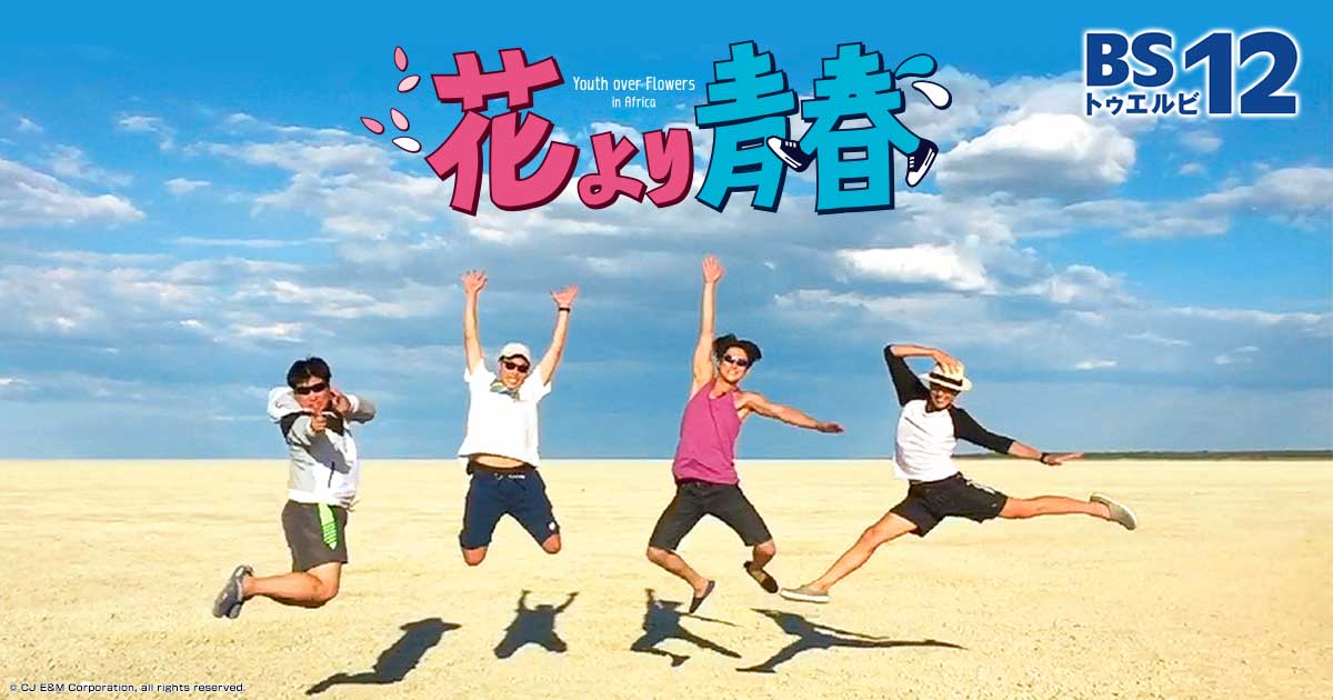 花より青春アフリカ編～双門洞4兄弟～の放送予定 | バラエティ番組