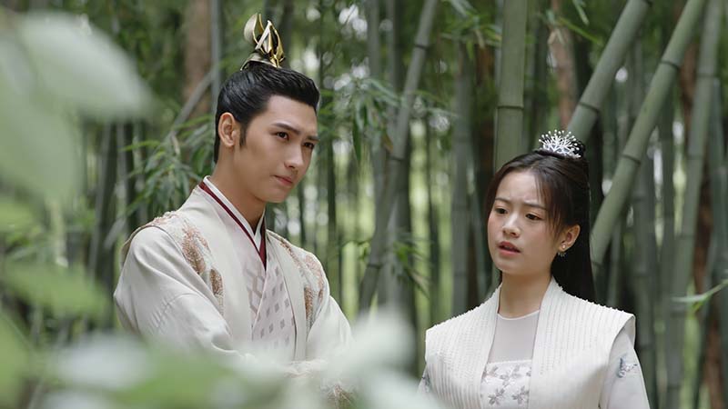 第18話 若君襲われる | 中国ドラマ「花咲く合縁奇縁」 | BS無料放送