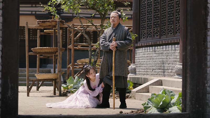 第19話 密告者 | 中国ドラマ「花咲く合縁奇縁」 | BS無料放送ならBS12