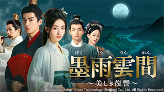 墨雨雲間～美しき復讐～の放送予定 | 中国・アジアドラマ | BS無料放送