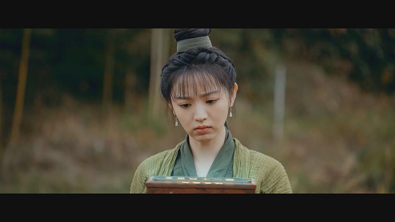 中国黄花梨そろばん 第1話 | 中国ドラマ「田園ロマンス～恋の収穫祭～」 | BS無料放送なら