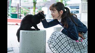 銀座黒猫物語| 無料ドラマ・映画 | BS無料放送ならBS12（トゥエルビ）