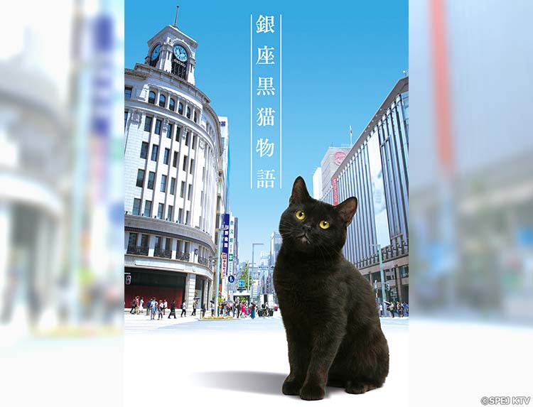ドラマ「銀座黒猫物語」 | 無料ドラマ・映画 | BS無料放送ならBS12