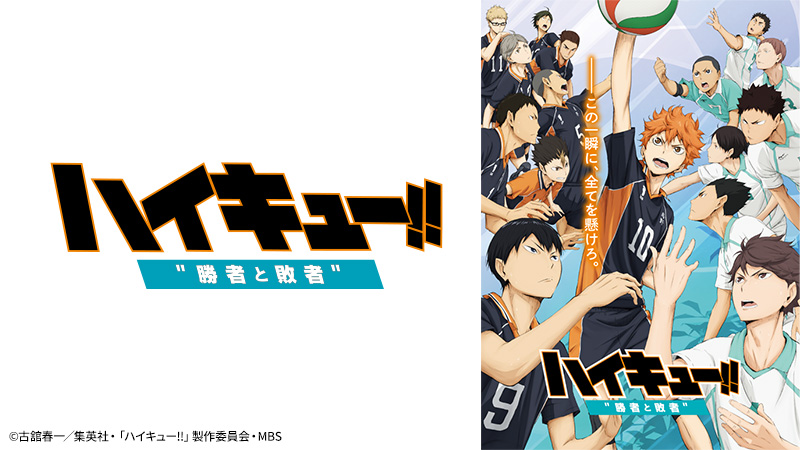 劇場版総集編 後編 『ハイキュー!! 勝者と敗者』 | 日曜アニメ劇場