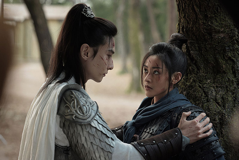 中国ドラマ「華の出陣～麗将・阿麦の仇討～」（月・火アジアドラマ