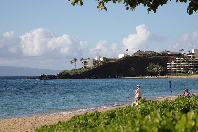 150「マウイ島特集 第3弾！ハワイ最大級水族館“マウイ・オーシャン