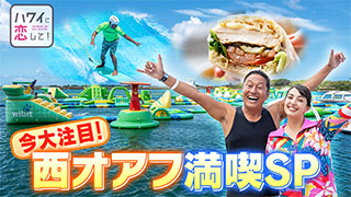 ハワイに恋して！ | 旅・グルメのテレビ番組 | BS無料放送ならBS12