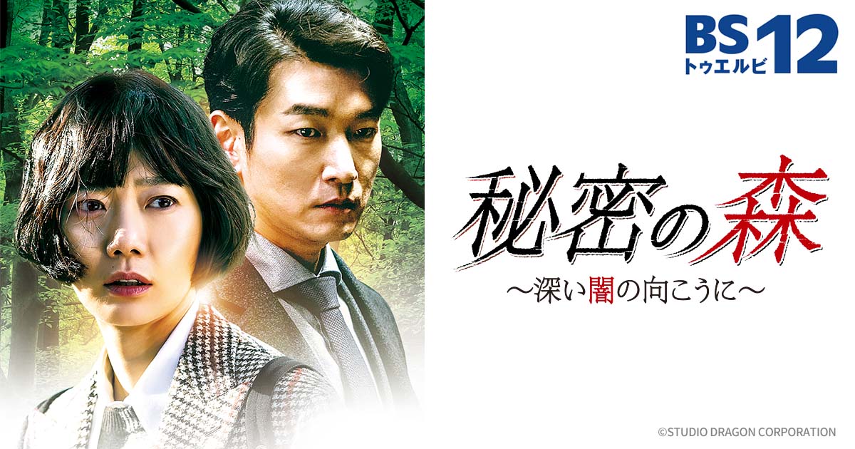 秘密の森～深い闇の向こうに～の放送予定 | 韓国・韓流ドラマ | BS無料