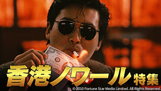 天下騒乱 徳川三代の陰謀 DVD-BOX / 田中美里 西田敏行 中村獅童 超豪華キャスト！新春テレビ時代劇の名作「天下騒乱 徳川三代の