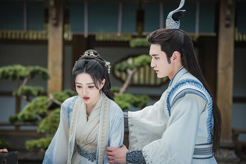 中国ドラマ「荊棘（いばら）の花～奪われた私～」 | 中国・アジア 