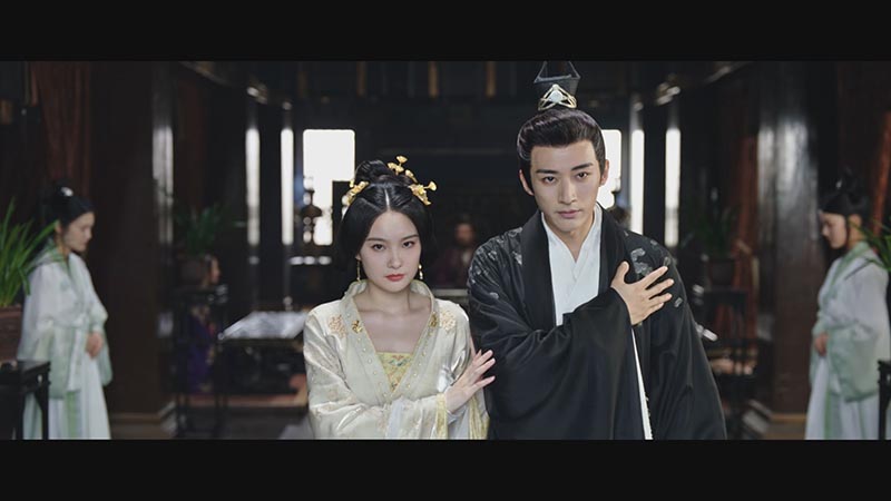 第29話 見えてきた黒幕 | 中国ドラマ「花間令＜かかんれい＞ ～Lost in