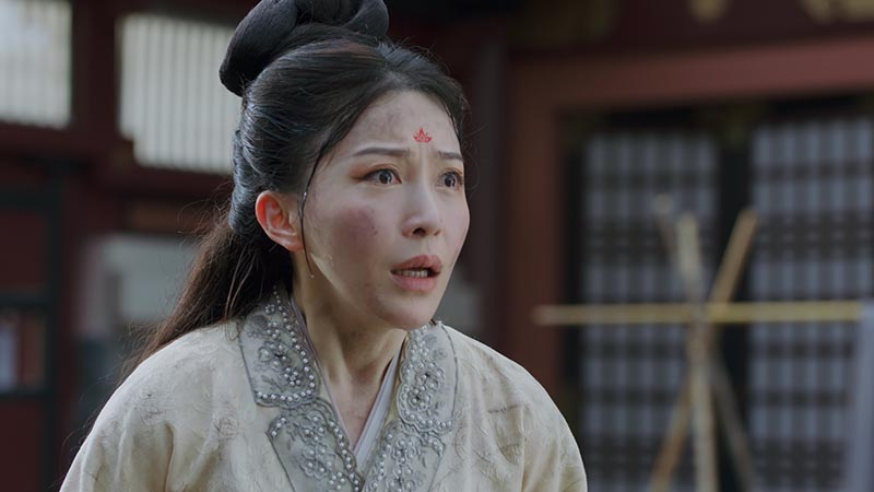 ドラ公式アカウント　中国　青花四君子草花文　長角皿　C　R3355 ドラ公式アカウント 中国 青花四君子草花文 長角皿 C R3355 ドラ