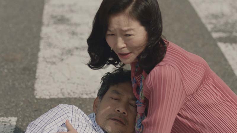 第19話 離婚の報告 | 韓国ドラマ「私たち、家族です～My Unfamiliar