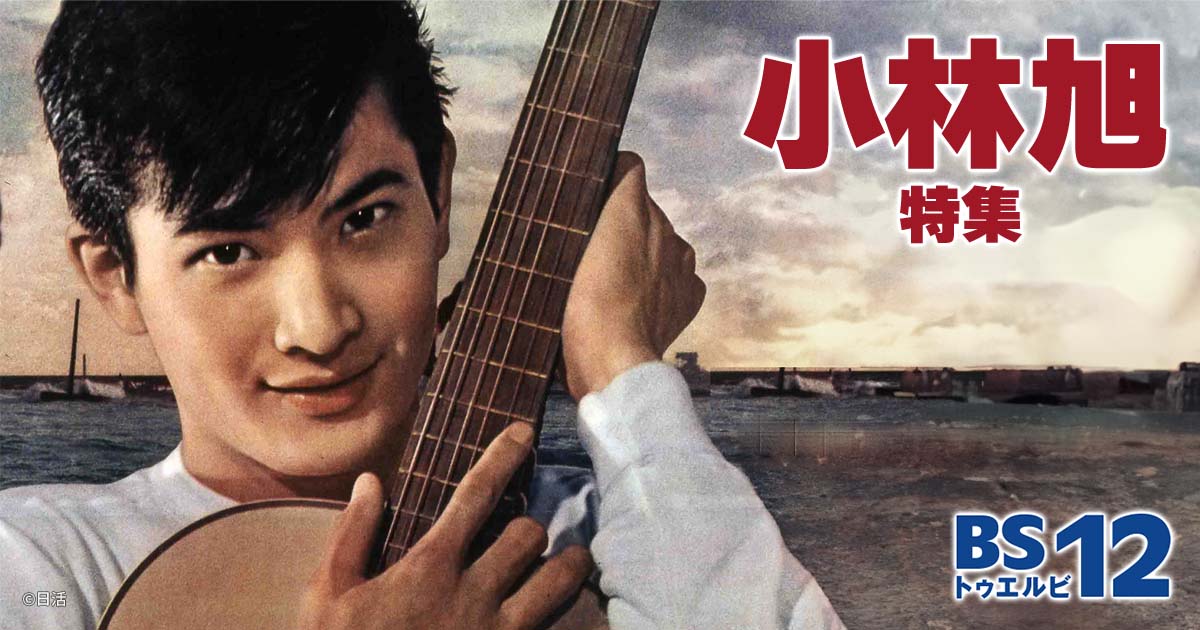 小林旭　主演　流れ者シリーズ　全19作品 レンタルDVD 小林旭 主演 流れ者シリーズ 全19作品 レンタルDVD Amazon.co.jp