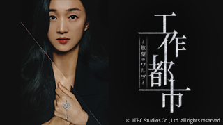韓国ドラマ　青い鳥の輪舞（ロンド） DVD BOX 1〜BOX4 全巻良い状態❣️ 韓国ドラマ 青い鳥の輪舞（ロンド） DVD BOX 1〜BOX4 全巻良い