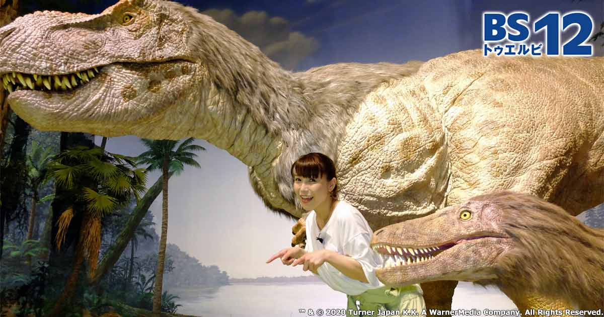 うえのえみ ネコ 恐竜 ２ うえのえみ ネコ 恐竜 2 うえのえみ ネコ 恐竜 2 恐竜2 最新研究 (