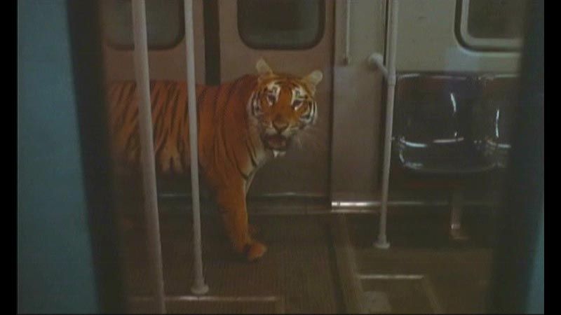 映画「猛獣大脱走」 | 無料ドラマ・映画 | BS無料放送ならBS12