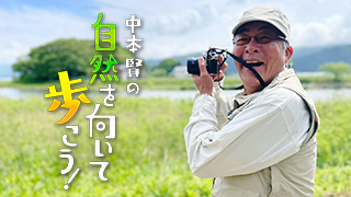 中本賢の自然を向いて歩こう！のサムネイル