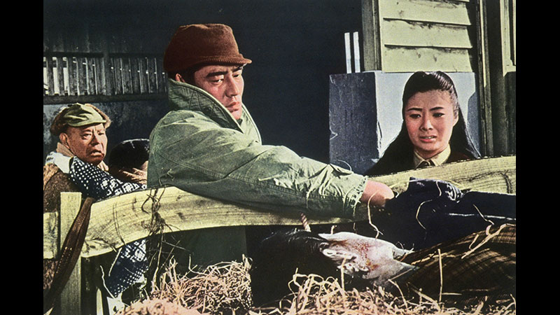 藤純子特集 | 無料ドラマ・映画 | BS無料放送ならBS12（トゥエルビ）