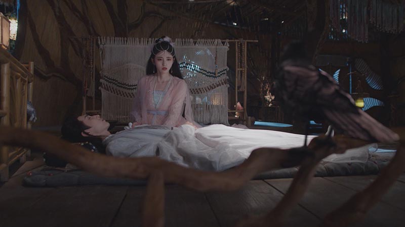 第14話 | 中国ドラマ「恋華（れんか） ～ラブ・オブ・フェニックス