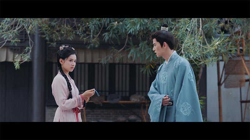第4話 君子豹変 | 中国ドラマ「惜花芷～星が照らす道～」 | BS無料放送