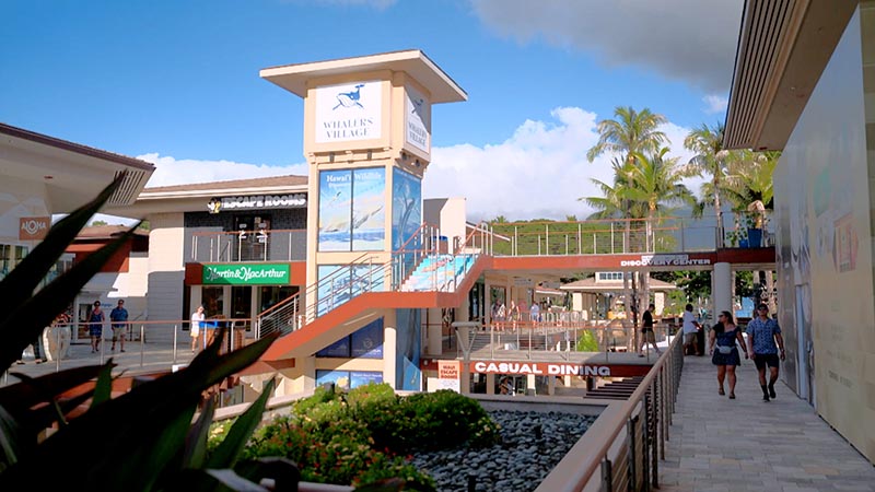 150「マウイ島特集 第3弾！ハワイ最大級水族館“マウイ・オーシャン