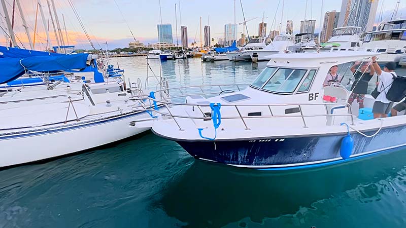 126「極上のおもてなし！Da-iCE岩岡・大野のハワイ旅でやりたいこと