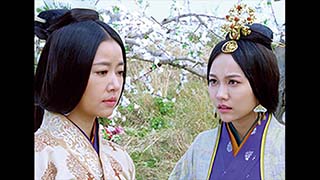 秀麗伝～美しき賢后と帝の紡ぐ愛～の放送予定 | 中国・アジアドラマ