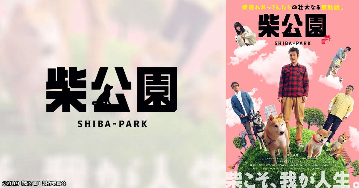 柴公園　ドラマ・劇場版　DVD BOXセット 柴公園 ドラマ・劇場版 DVD BOXセット Amazon.co.jp: 劇場版 柴