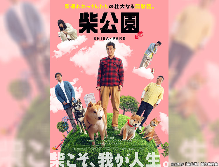 柴公園　ドラマ・劇場版　DVD BOXセット 柴公園 ドラマ・劇場版 DVD BOXセット Amazon.co.jp: 劇場版 柴