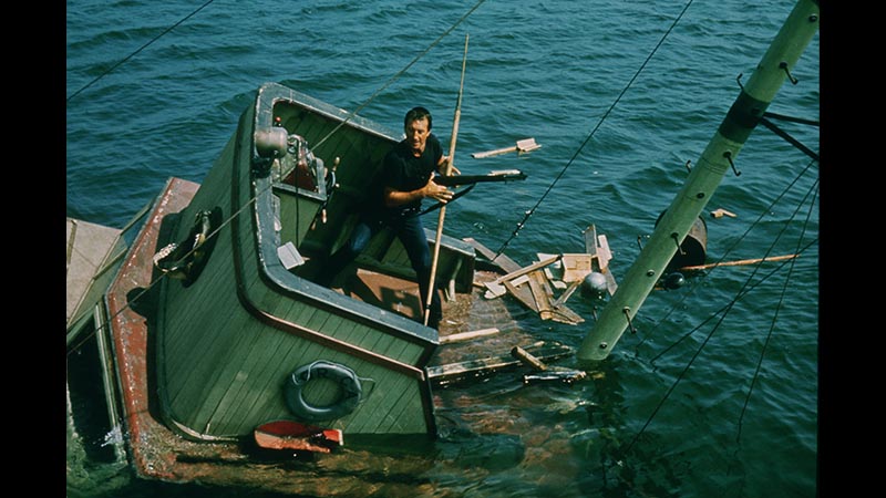 JAWS／ジョーズ | 土曜洋画劇場（海外映画テレビ番組） | 無料