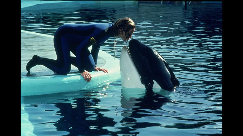 JAWS／ジョーズ3 | 土曜洋画劇場（海外映画テレビ番組） | 無料ドラマ